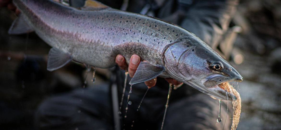 Nakup paketa treh dovolilnic za člane RD Mozirje v sezoni 2025/2026